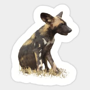 Wilddog in Kenya / Africa Sticker